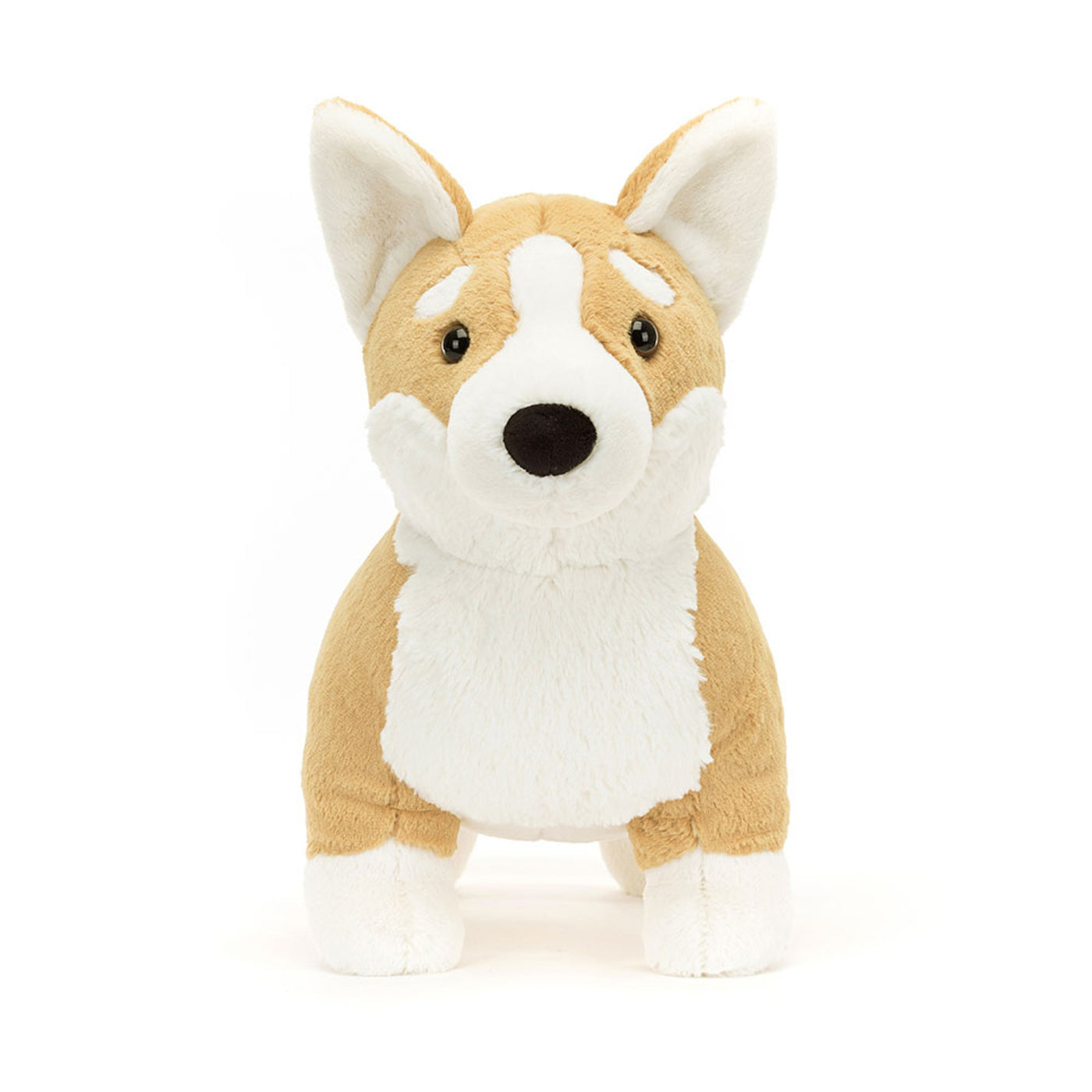 Betty Corgi