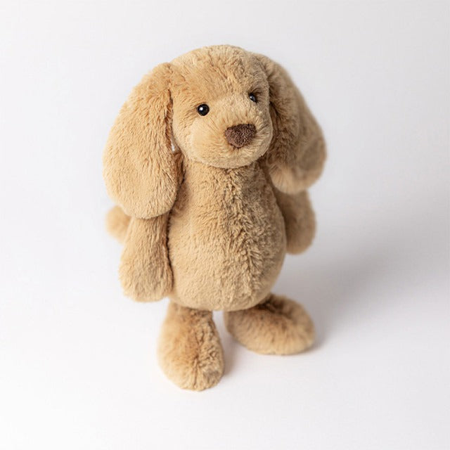 Bashful Toffee Puppy