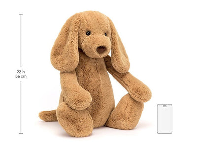 Bashful Toffee Puppy