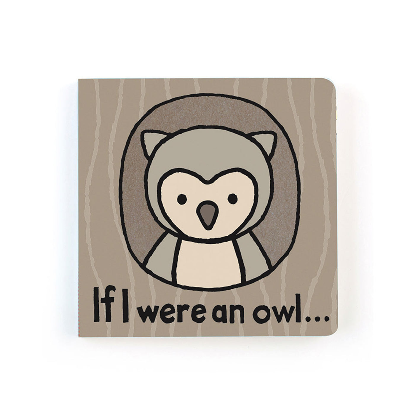 If I Were An Owl Book