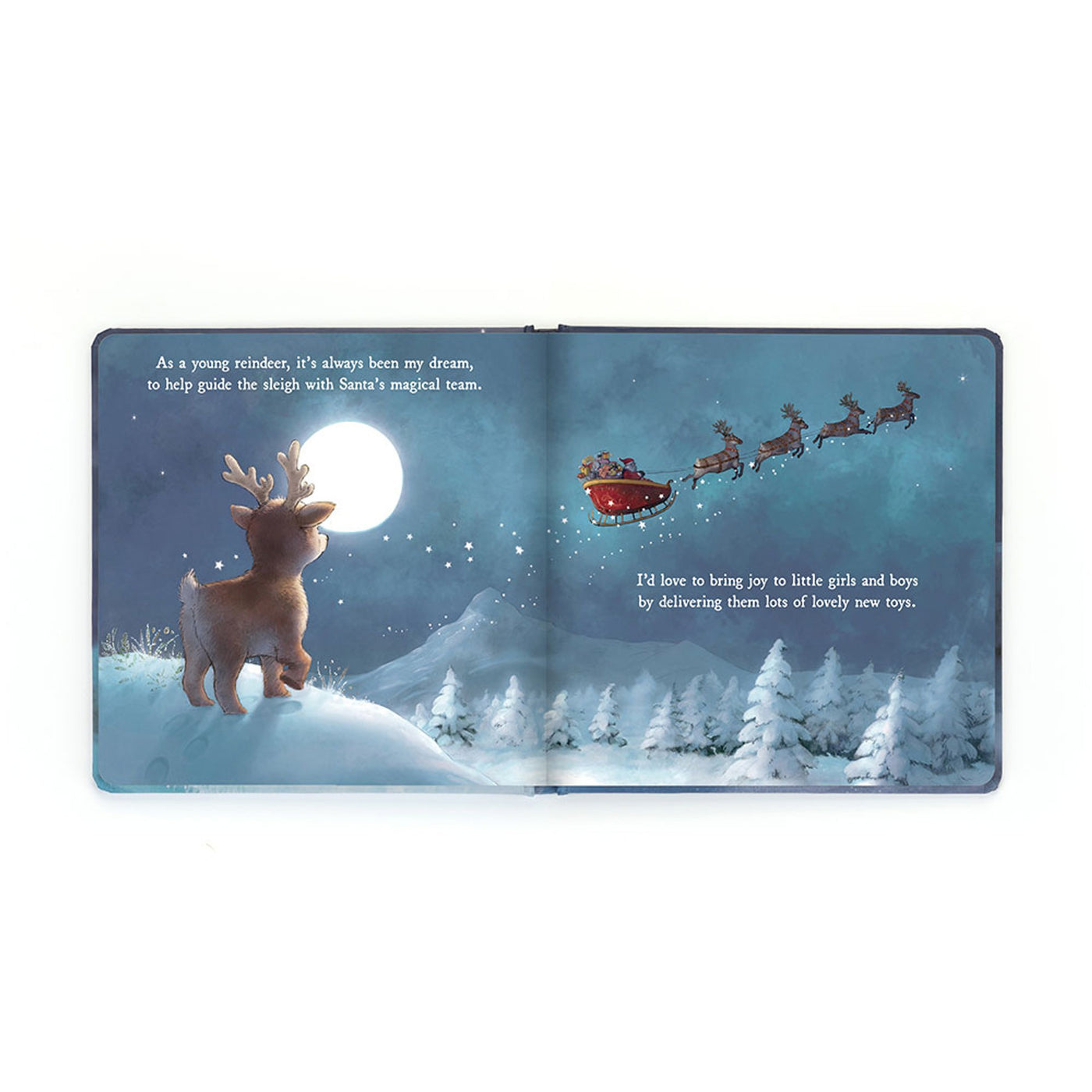 Mitzi Reindeer's Dream Book