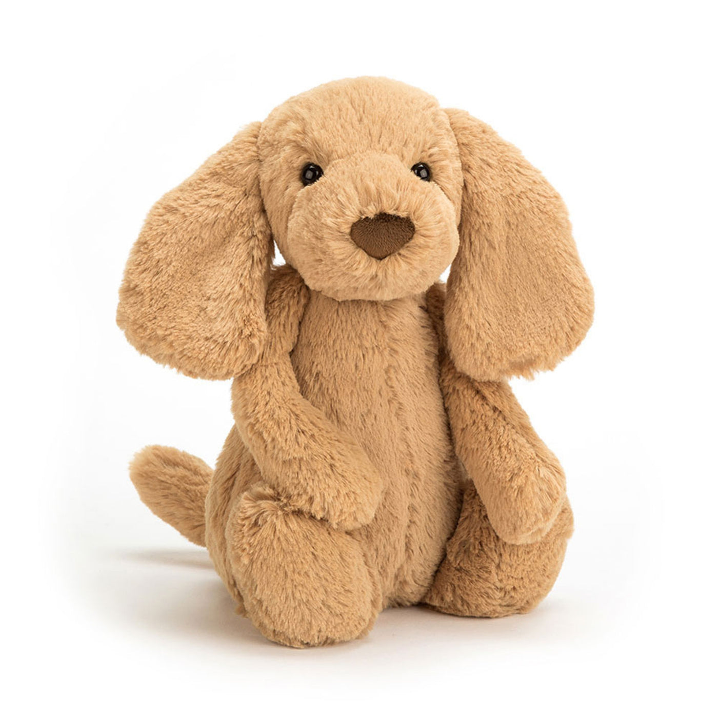 If I Were a Dog Board Book & Bashful Toffee Puppy Medium